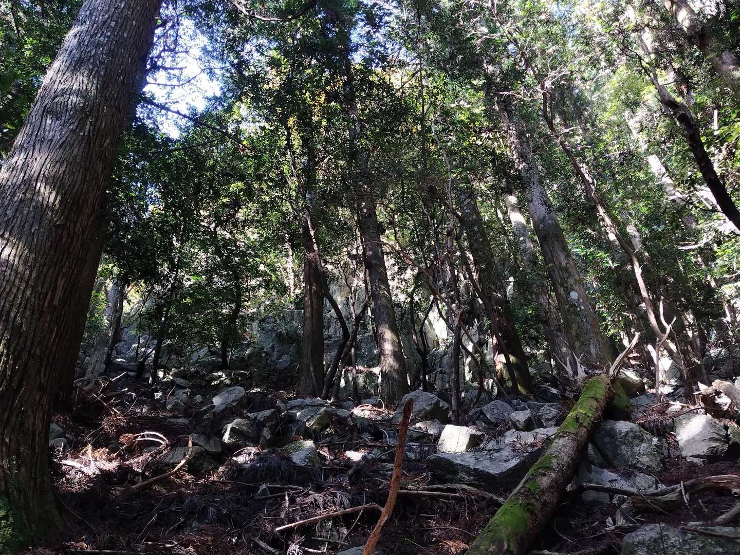 斜面奥に巨大な岩