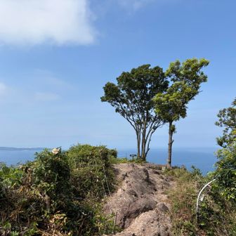 分岐を過ぎるとすぐにこの光景が見えてくる