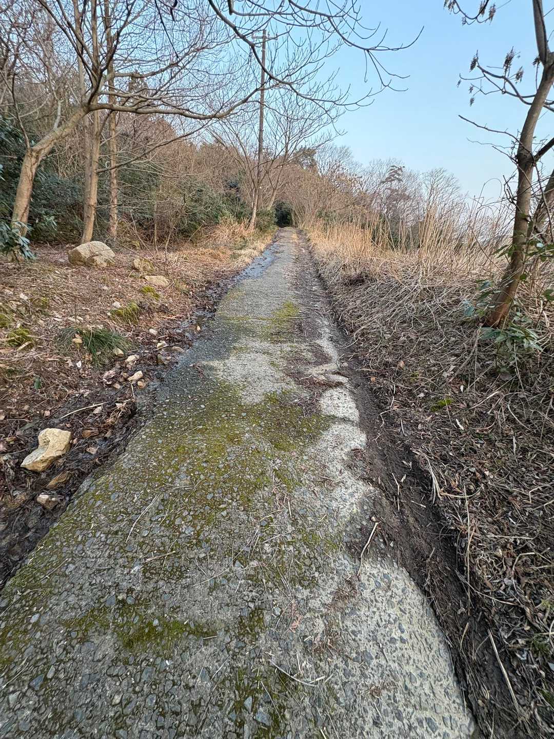 YAMAPではこの先に駐車場になってますが
こんな道通りたくないですよね😓