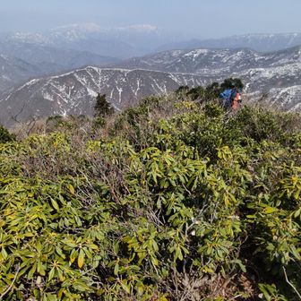 山頂部へは藪漕ぎが少しありました。