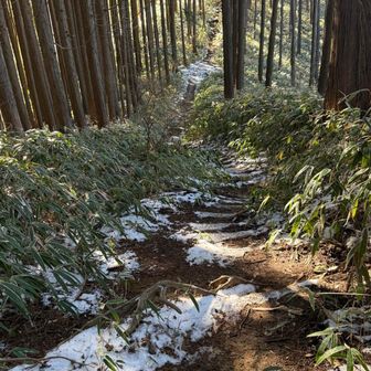 凍っているところもあるので
気をつけて⚠️
