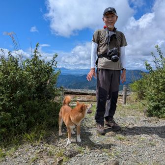 ワン！

三ノ塔トイレ掃除の方に付き添う元気100%の柴犬♀9ヶ月
付き添いは四回目とのこと
健脚だ