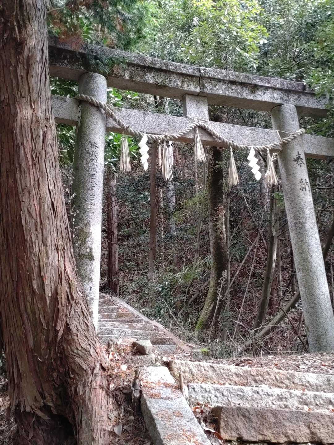 牛松山登山口の一の鳥居に下山してきました🙏