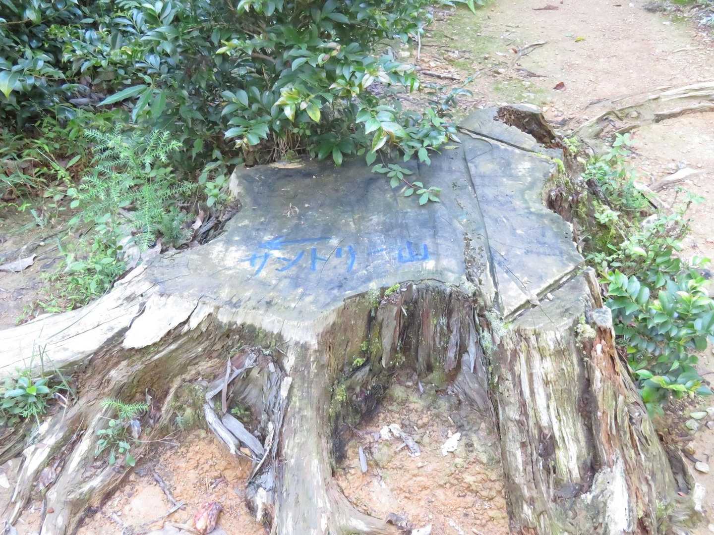サントリー山への案内標識、だいぶ消えかかっている