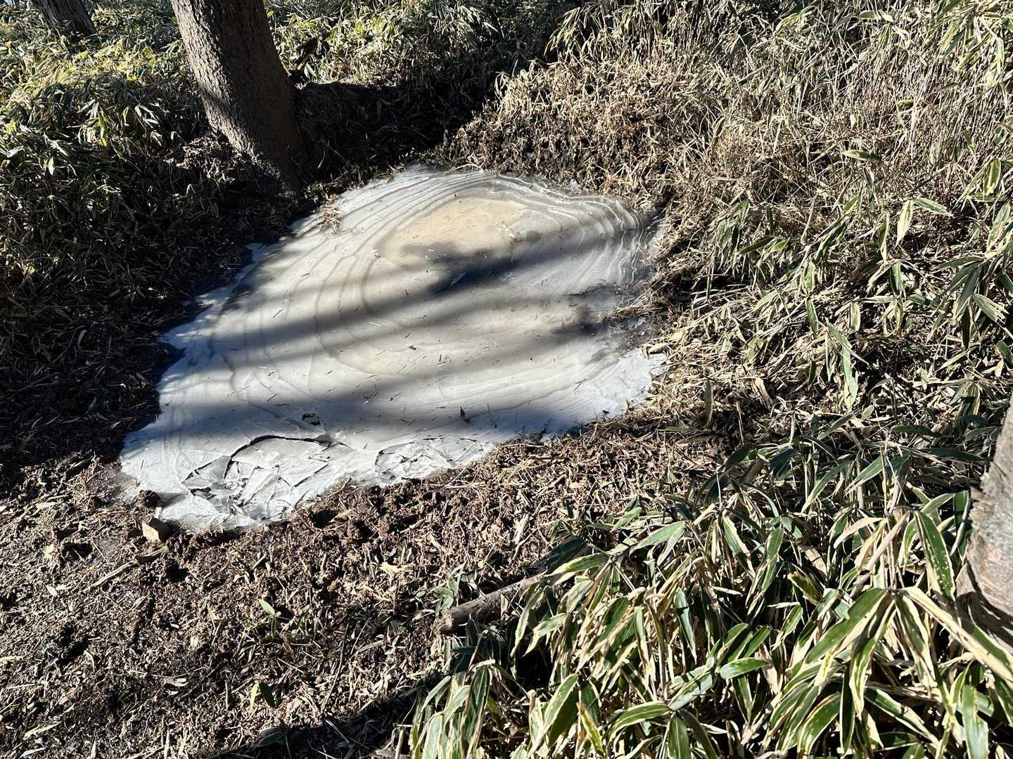 結構分厚い氷だー