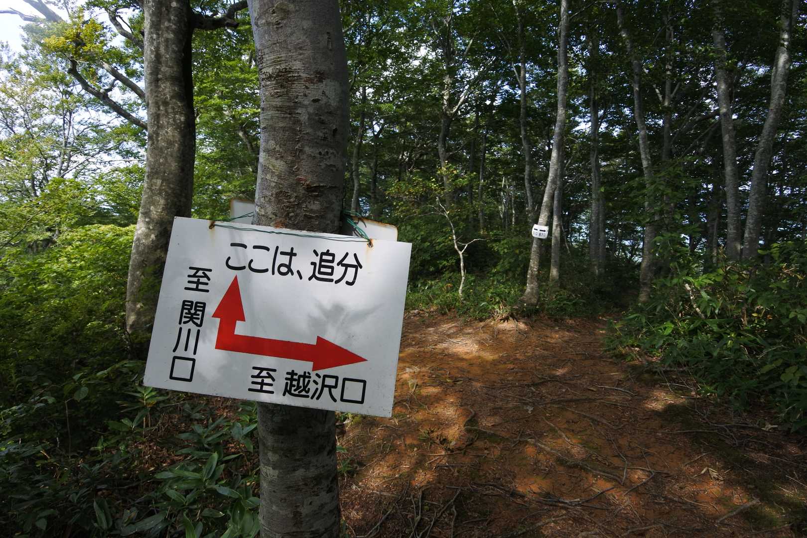 関川登山口-摩耶山 往復コースの写真