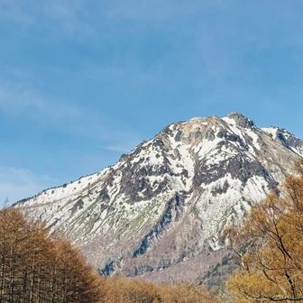 
焼岳
カッコいいー✨
