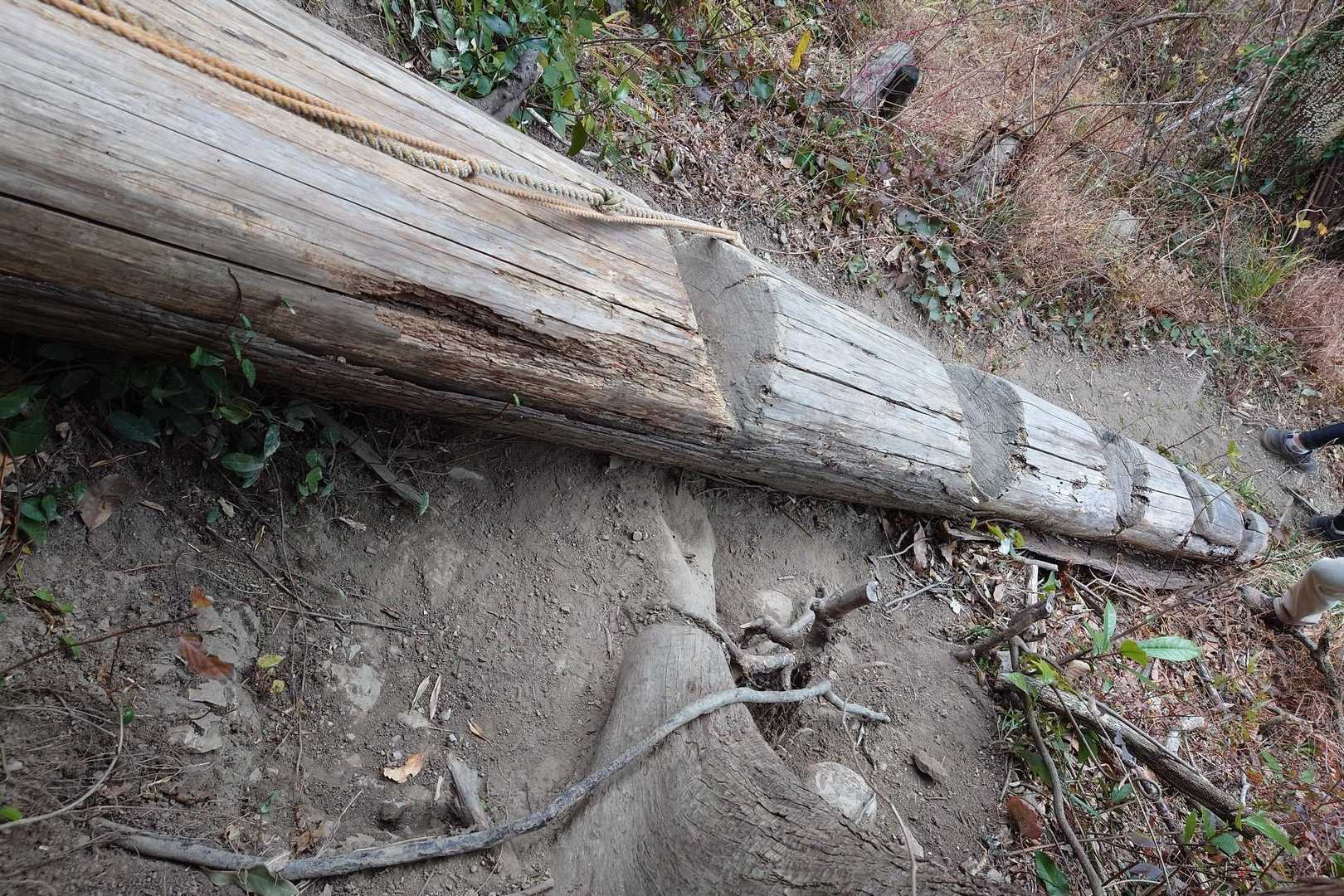 富山 周回コースの写真