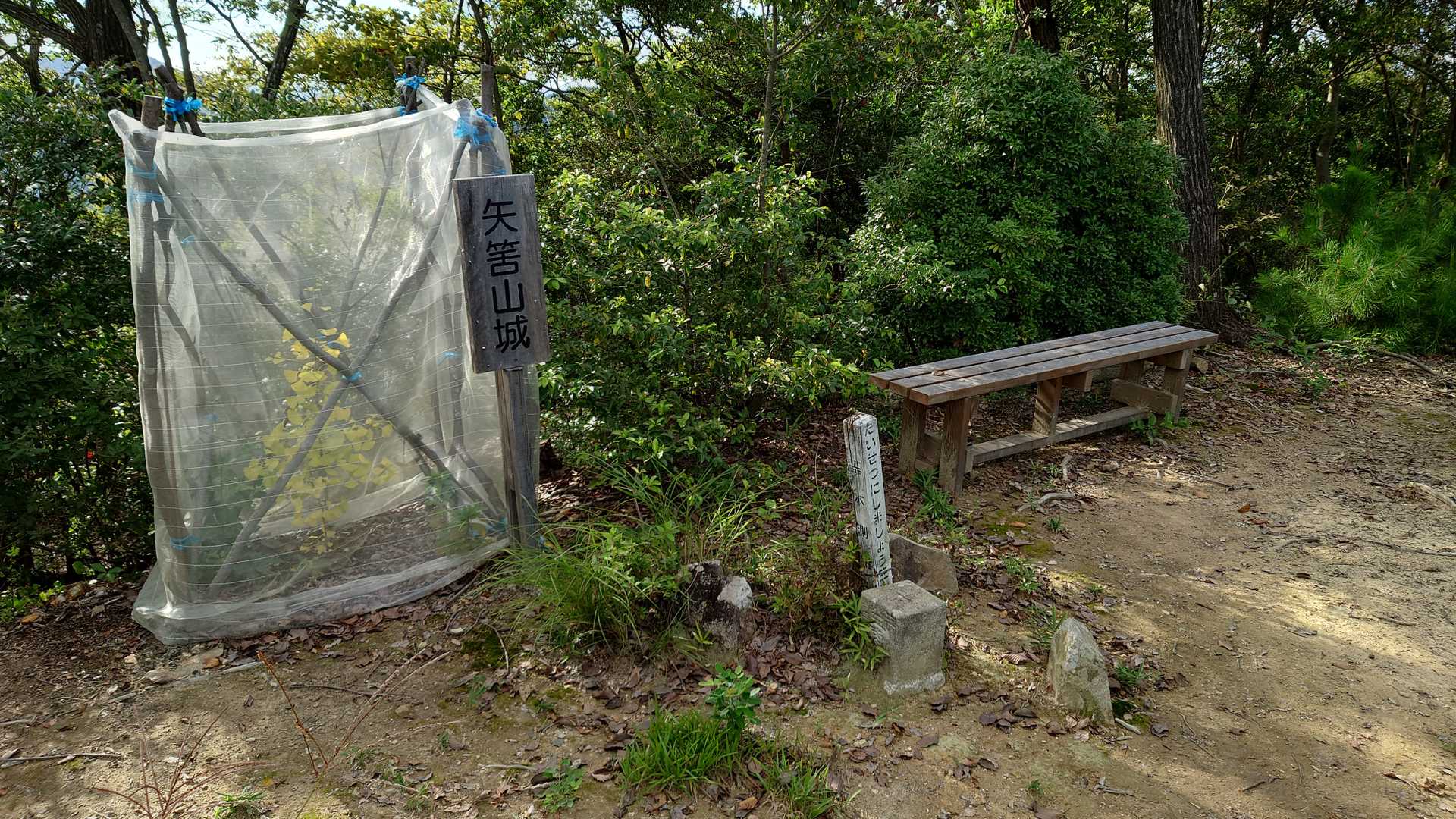 三角点、矢筈山北峰登頂。では戻ります。