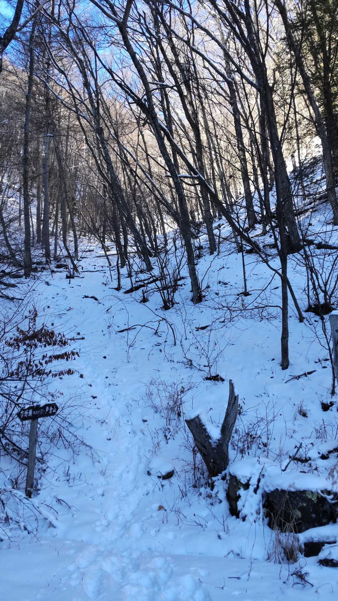 登山口🏔️雪が深そう