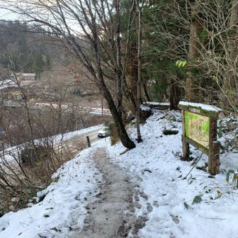 夏山登山道の登り口まで 帰ってきました…
無事で何より！
午後からは 少し回復するようで、遅めのスタートの登山者さん数名とすれ違いました！
頑張って下さい！

さぁ 私は温泉♨️に向かいます！☺️