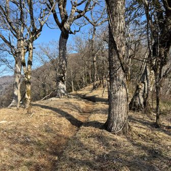 明るく歩きやすい道