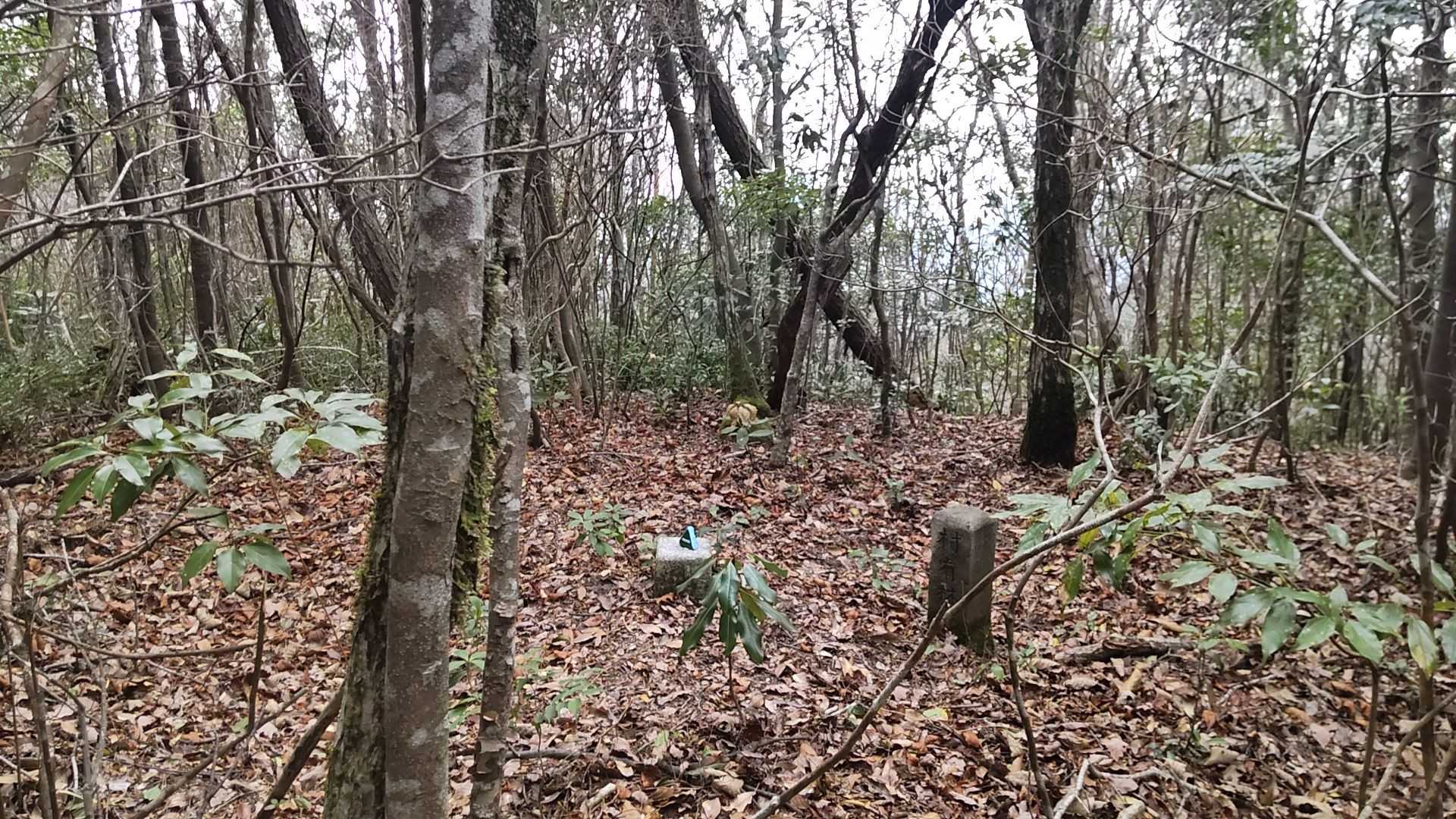 山頂✨