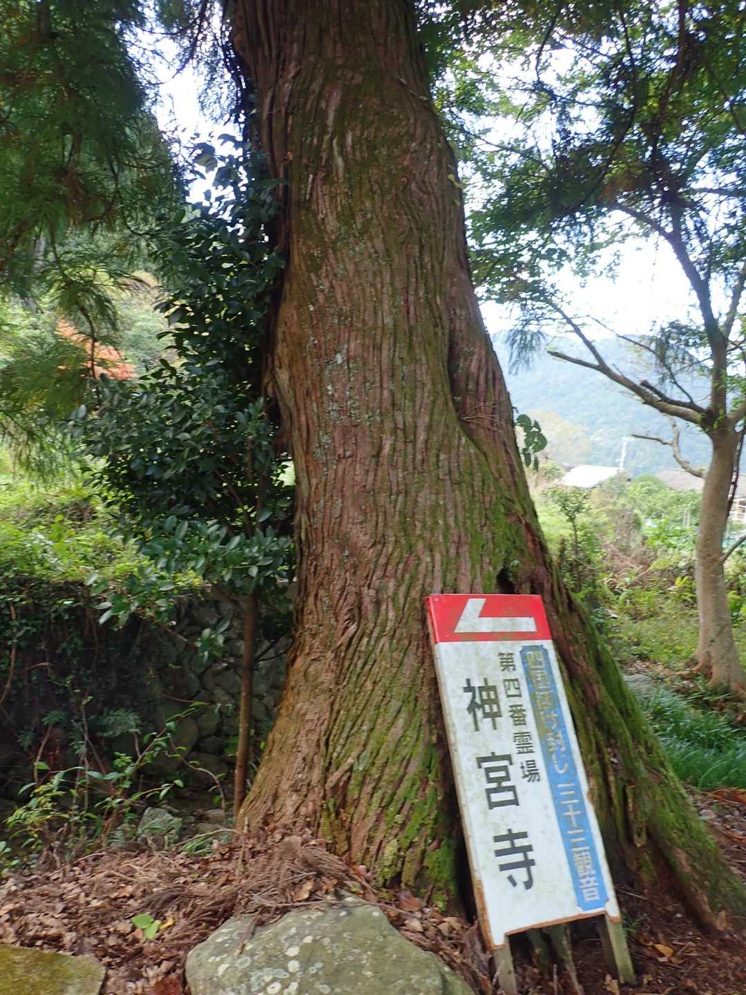 まずはお参り。