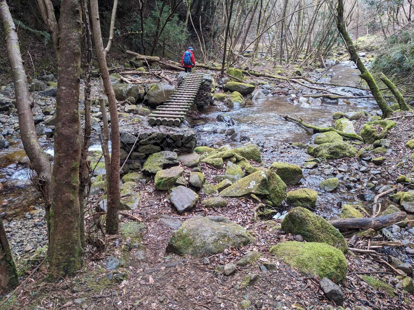 煤ヶ谷バス停-三峰山 周回コースの写真
