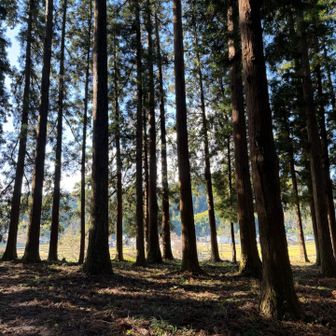 さー！年末やるぞ！

という気持ち（今は）笑
今年もあと19日
