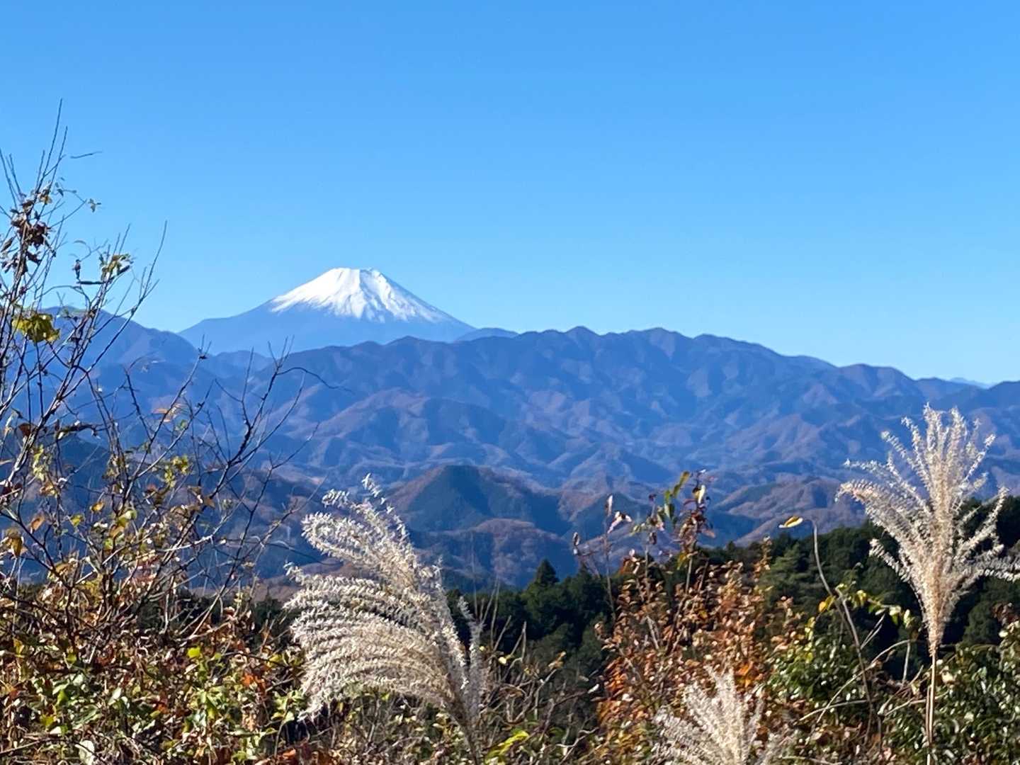 高尾山-城山(小仏城山) 縦走コースの写真