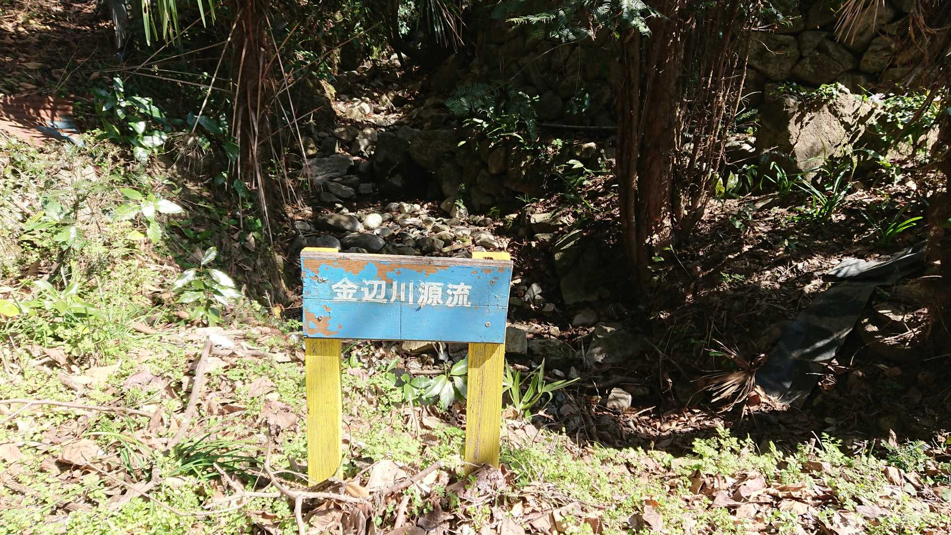 金辺川源流