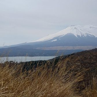 富士山目の前どーん