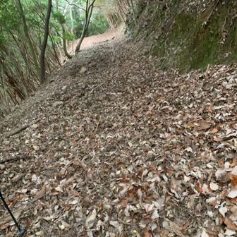 帰りは、少し脇のルートを使ってみる