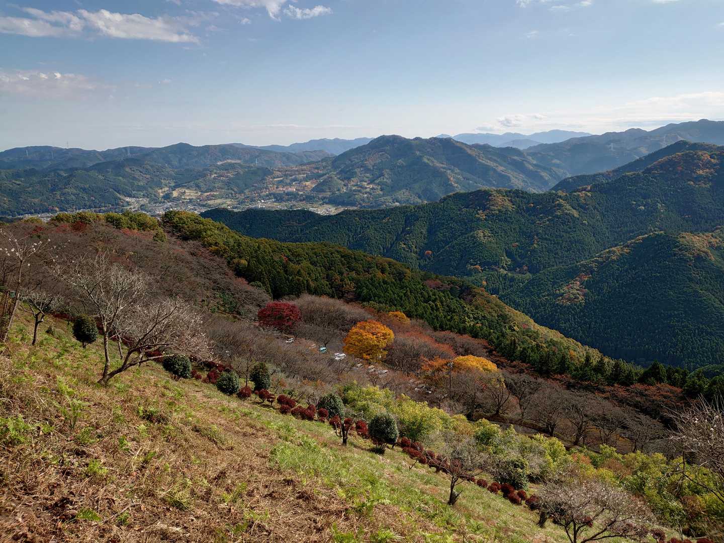 低山ですが素晴らしい眺望ですね。