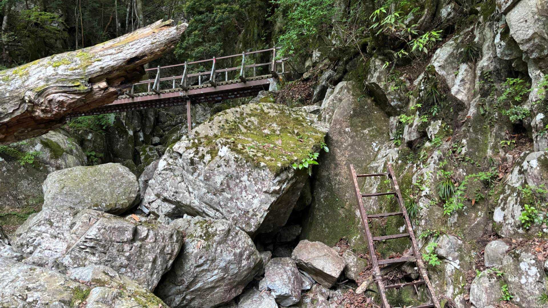手前の信用できない梯子🪜なんで左の岩から巻いて登ります。
ロープ🪢あります🙏。