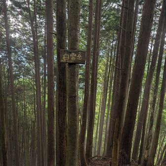 ダイトレの途中にある白雲岳
お初になりますｗ