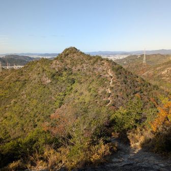 ちょっと寄り道、北宿山へピストン！結構降ろされよら〜い😤