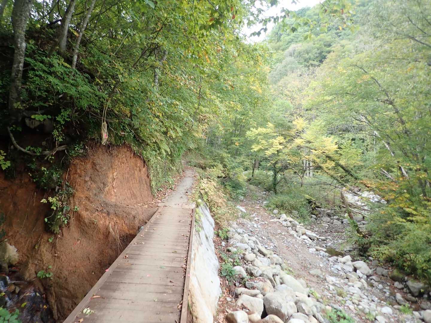 古寺山-古寺鉱泉登山口 縦走コースの写真