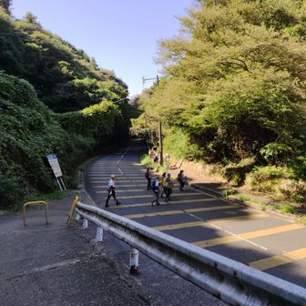 降りてきました