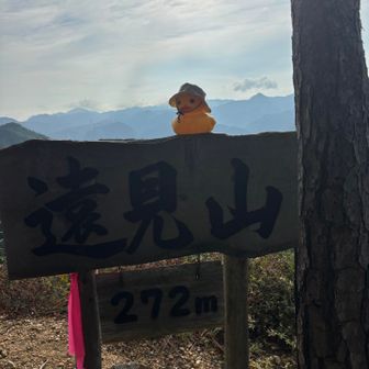 遠見山山頂🐤🎵