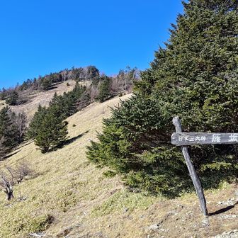 雁坂峠。
ベンチあり絶景あり歴史説明看板あり地形解説看板ありの最高な休憩スポットです。