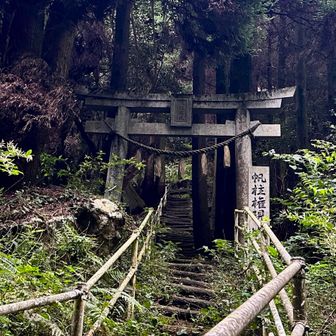 だんだん階段がキツくなってきました😅