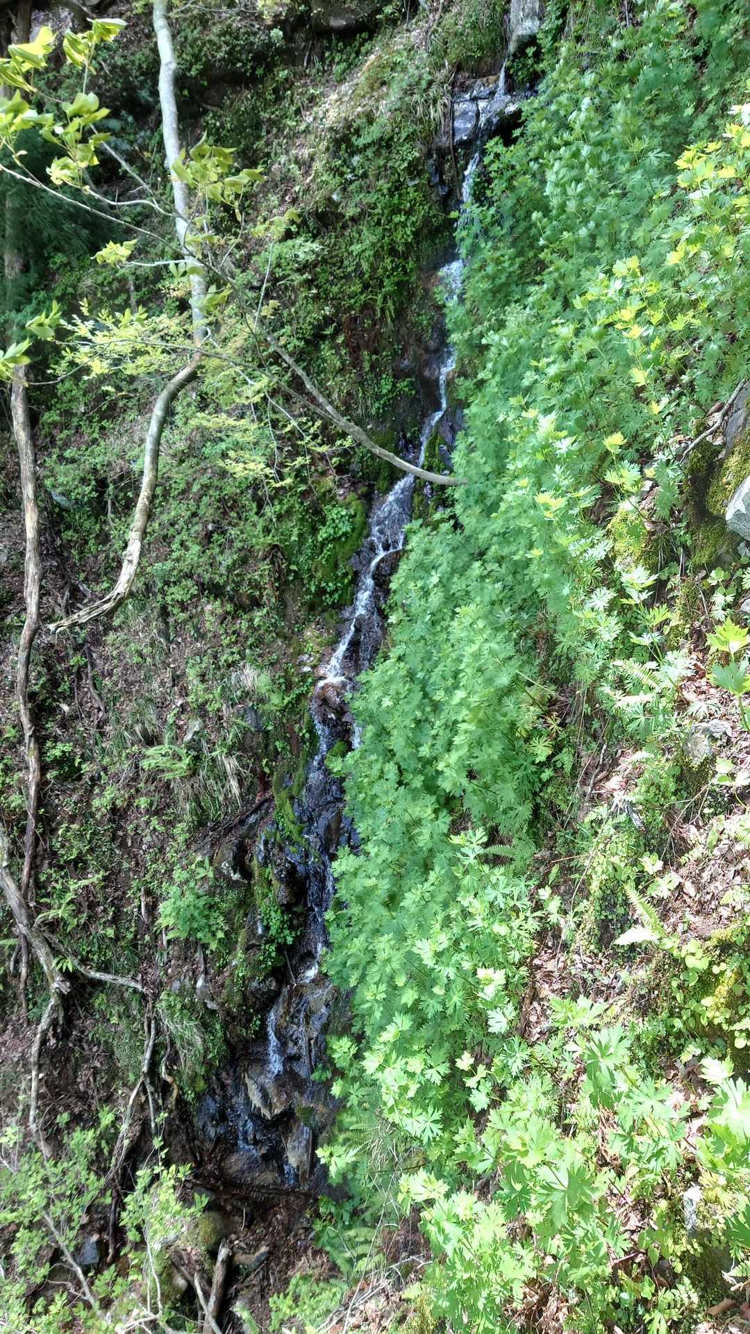 えぇーーっと滝っぽい💦
