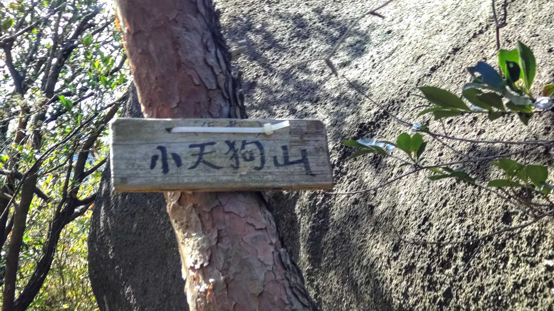 ピーク無し💦