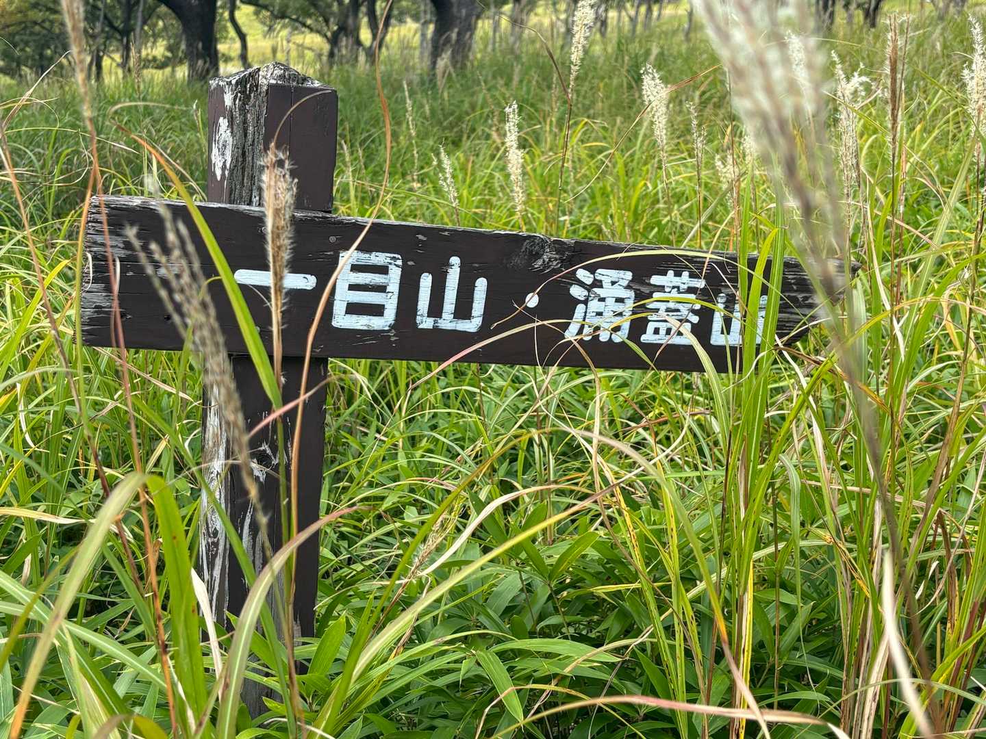 一目山は2022.3.29以来😳