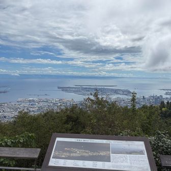 ポーアイ奥の神戸空港とその奥の関空がめっちゃ近い！と気づいた友達、確かにイカダでいけそうな距離に見える‼️