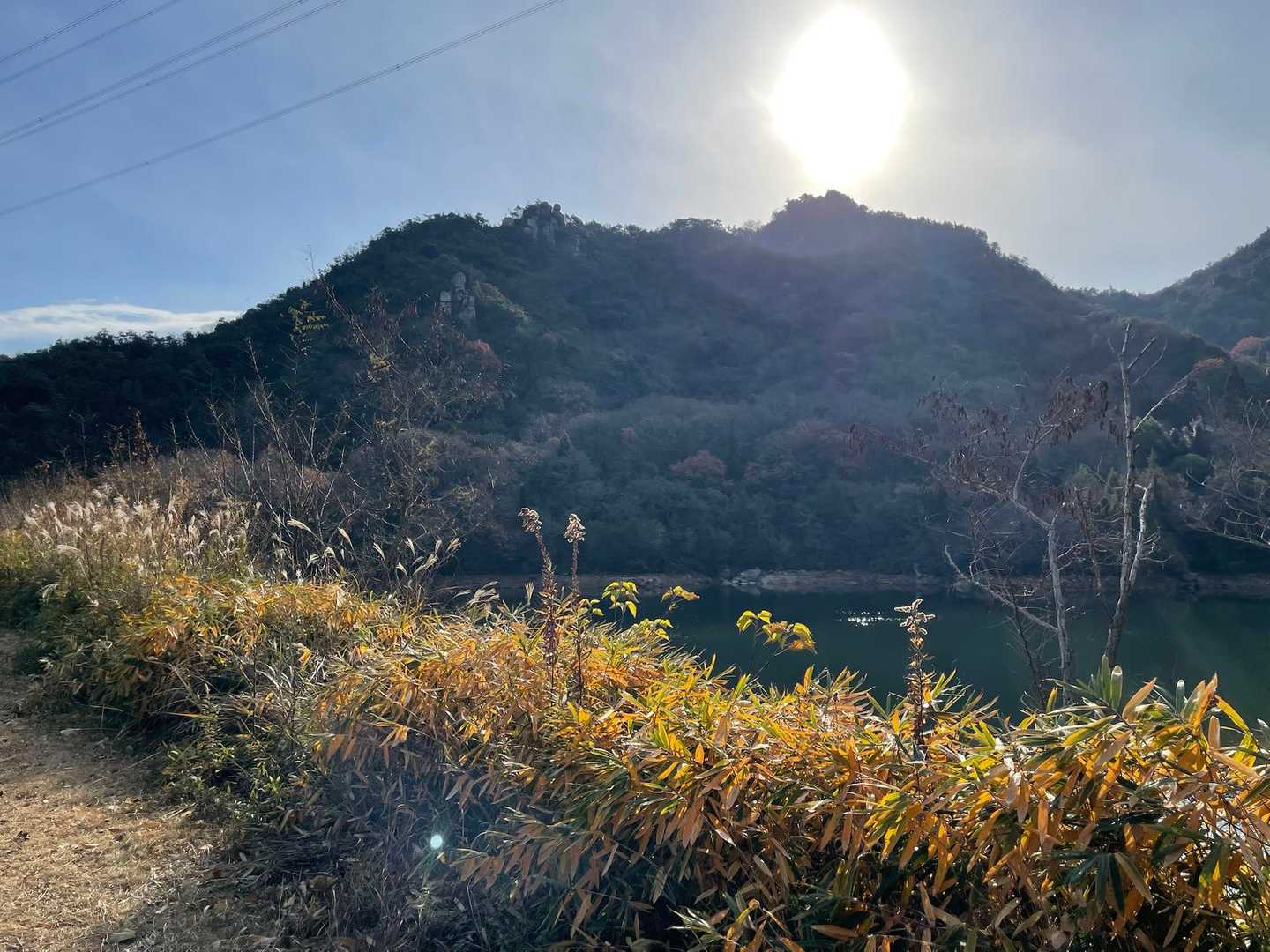 次のお山はあれかしら？