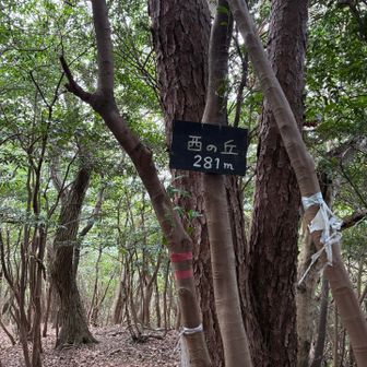 一座目　西の丘登頂です⛰️