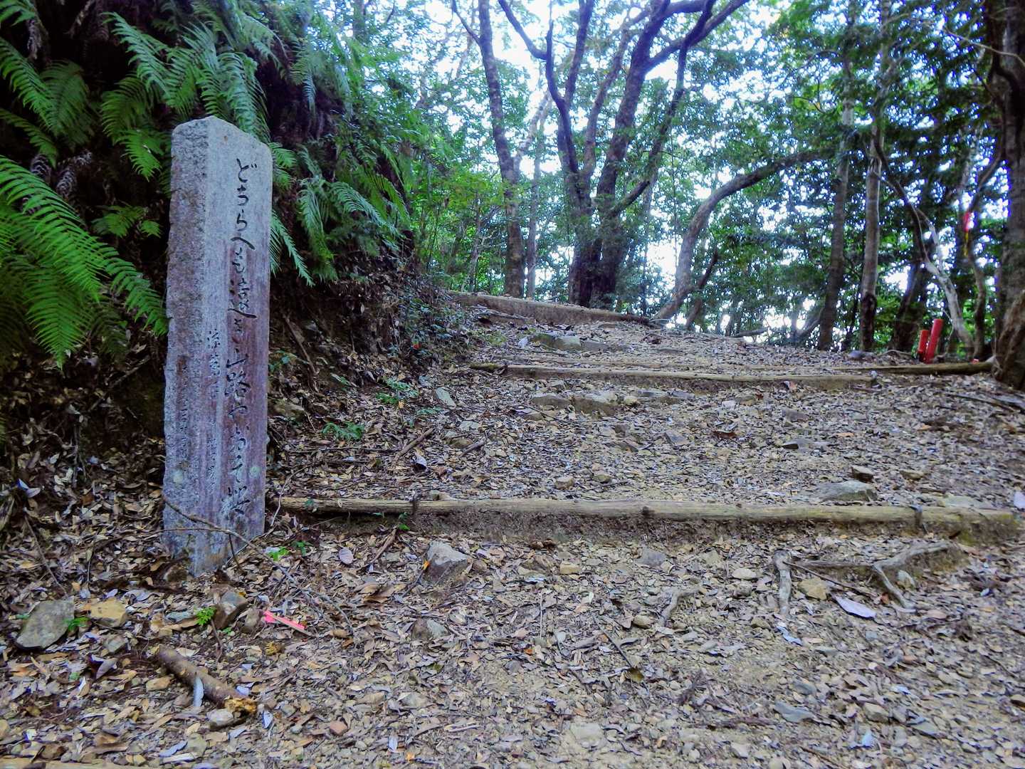 34番ポスト付近
｢どちらへも遠き山路やおそ桜｣