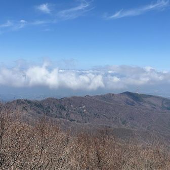 いい眺め🤩🐒