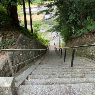 いい運動になりそうな階段😅