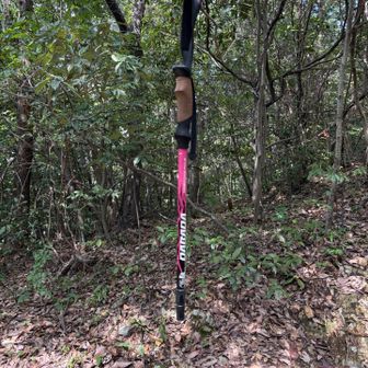 落とし物でーす
ぶら下げておきました🌲
