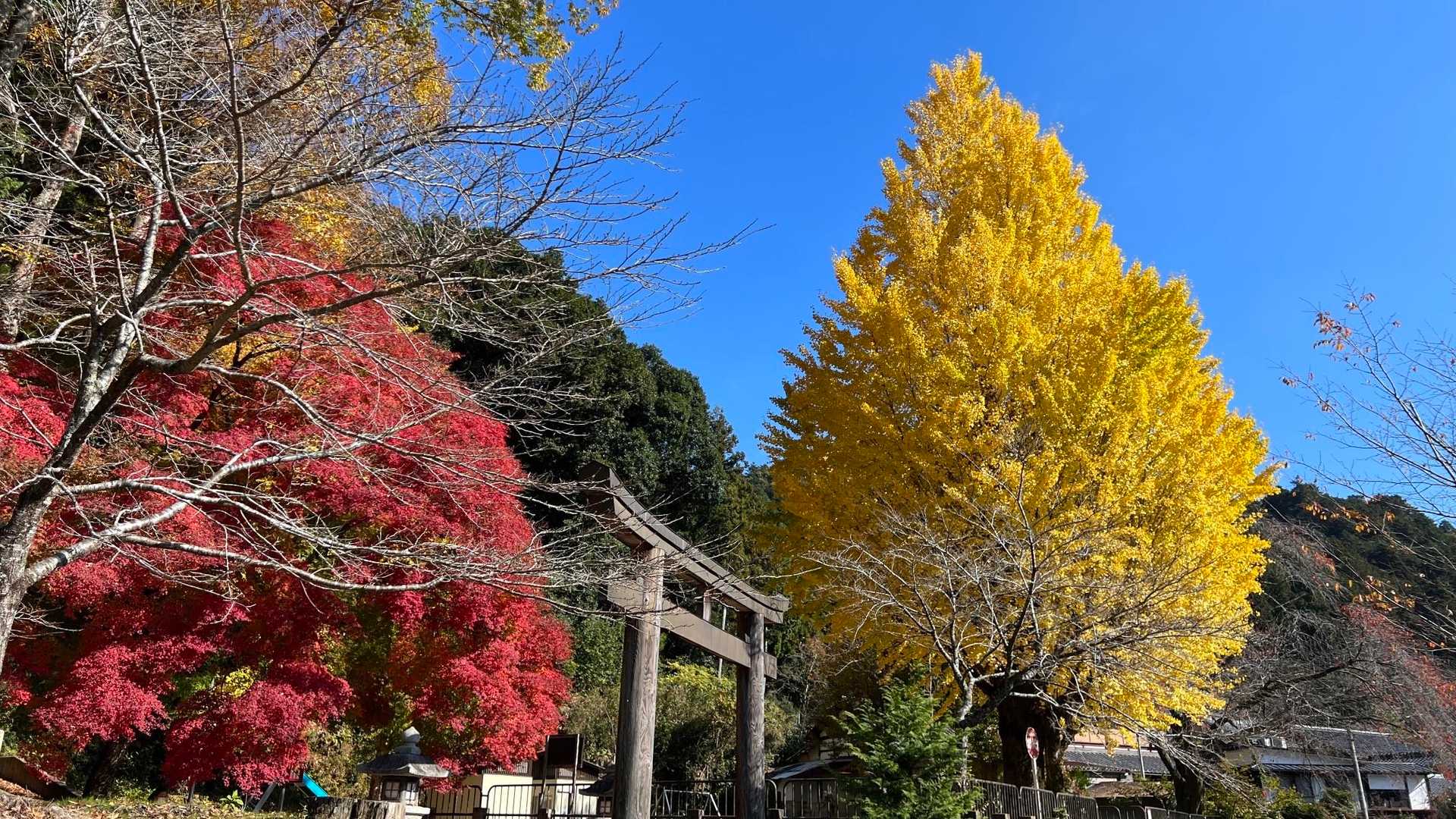 戸寺バス停-江文峠-山門駅-二ノ瀬駅 縦走コースの写真
