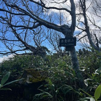 山頂標高からの展望なし
その先の三角点まで進みます