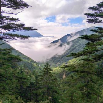 下界は雨デス