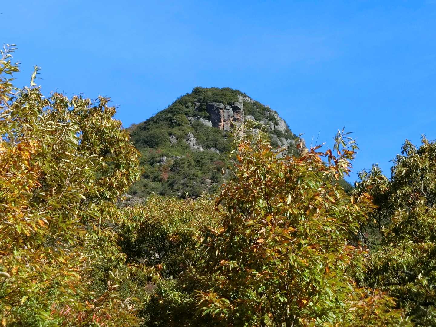 本題の登山。これに登ります。なかなかの急登が続く山でした。