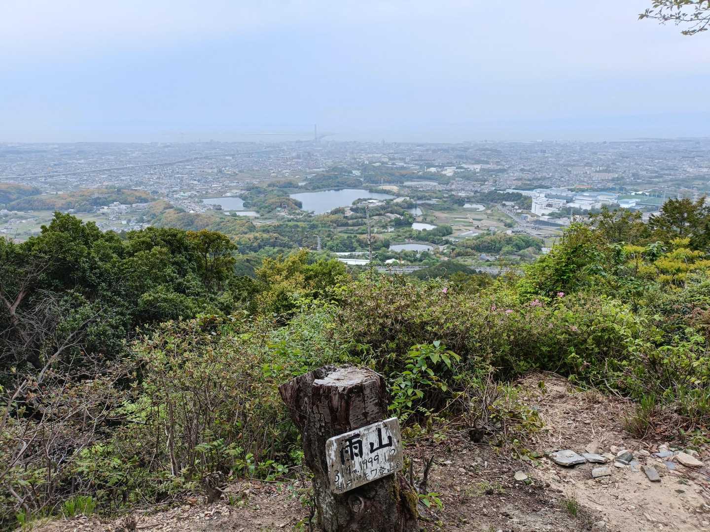 奥から大阪湾→青池→雨山なんですね