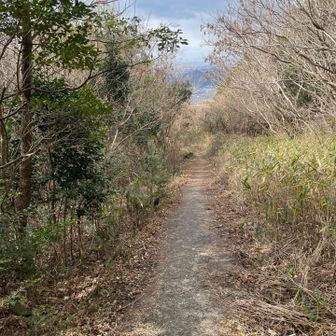 頂上から天の丸ホテル方向への下山道です。