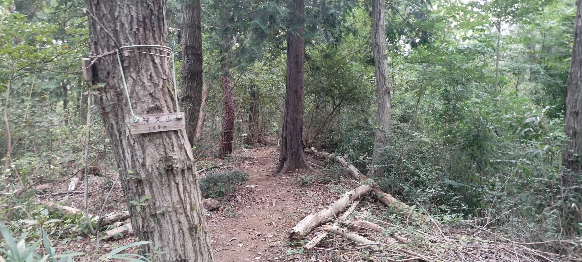 天覧山-多峯主山 周回コースの写真